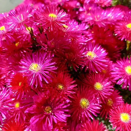 Agathi Paradise Lägenhet *