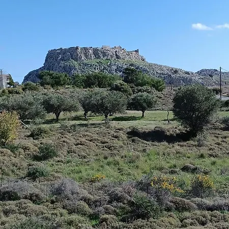 Agathi Paradise Charaki